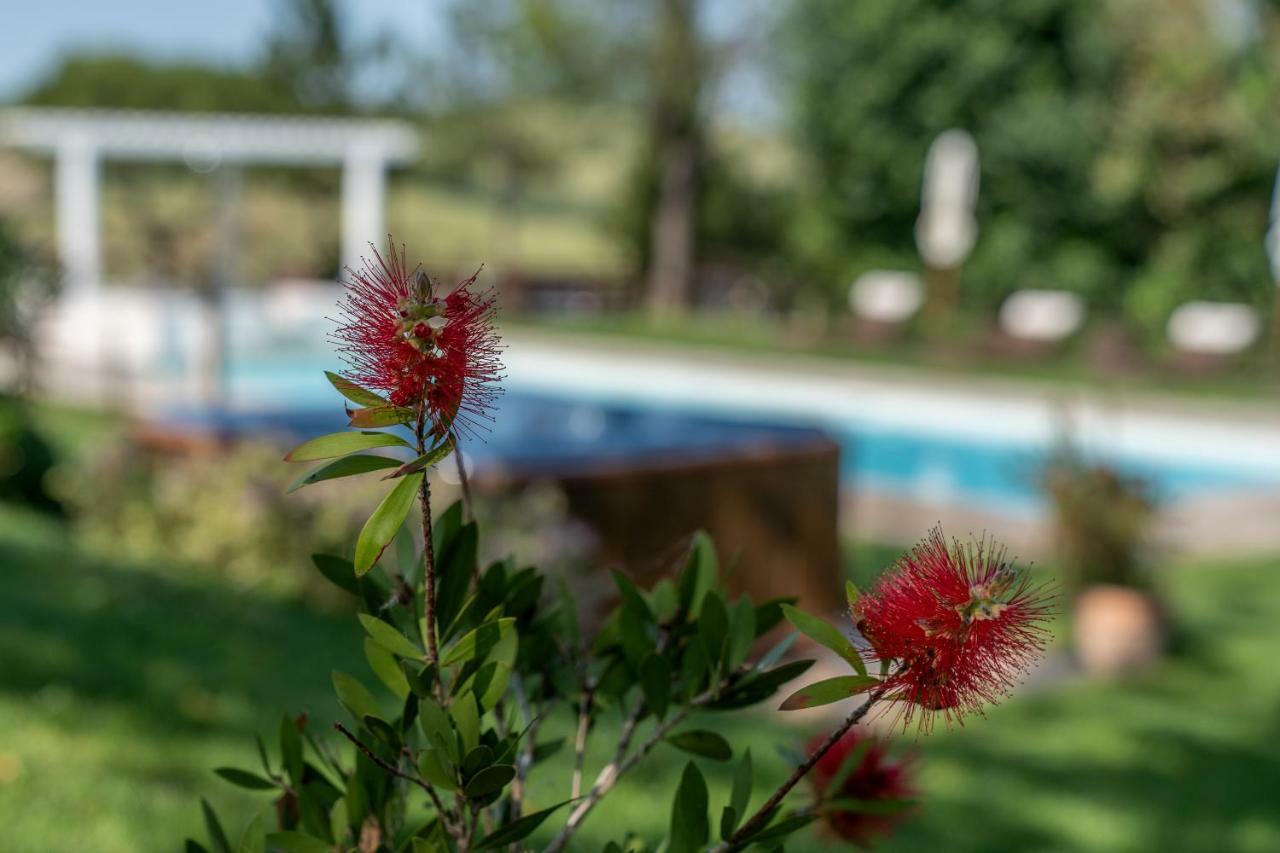 לסי Le Maracla Country House מראה חיצוני תמונה